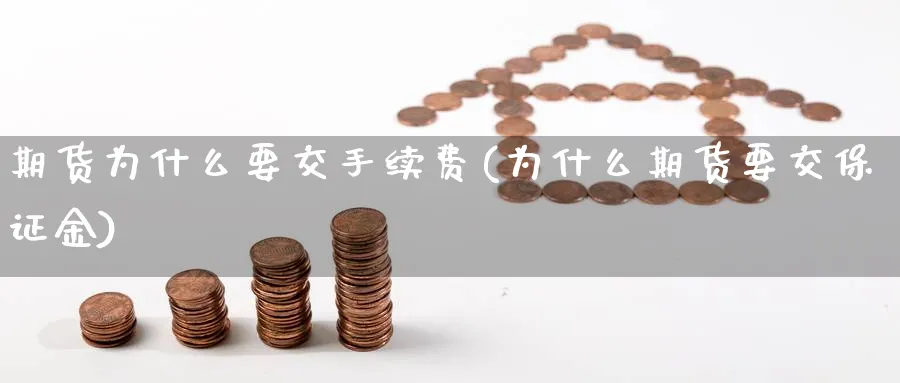 期货为什么要交手续费(为什么期货要交保证金) 化工期货 第1张-金融直播室 期货为什么要交手续费(为什么期货要交保证金) (https://www.haizilaw.com/) 化工期货 第1张