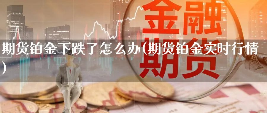 期货铂金下跌了怎么办(期货铂金实时行情) (https://www.haizilaw.com/) 道指期货 第1张