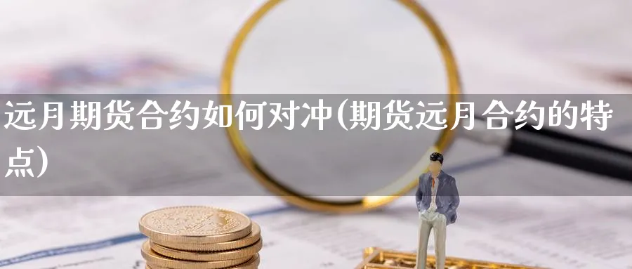 远月期货合约如何对冲(期货远月合约的特点) (https://www.haizilaw.com/) 恒指期货 第1张