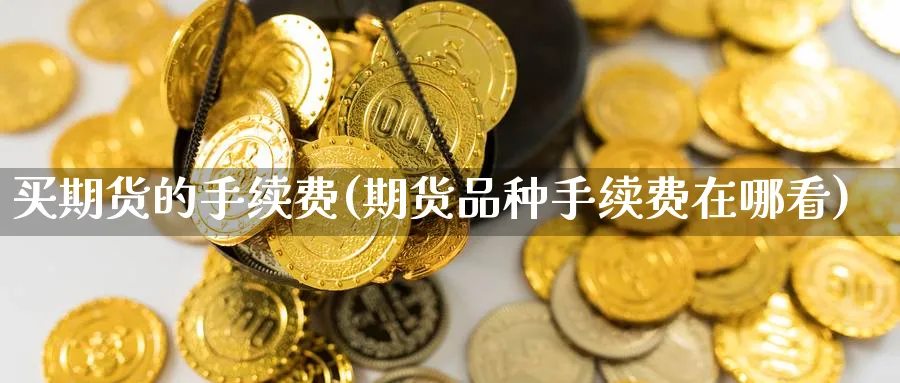 买期货的手续费(期货品种手续费在哪看) 期货百科 第1张-金融直播室 买期货的手续费(期货品种手续费在哪看) (https://www.haizilaw.com/) 期货百科 第1张