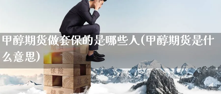 甲醇期货做套保的是哪些人(甲醇期货是什么意思) (https://www.haizilaw.com/) 黄金期货直播间 第1张