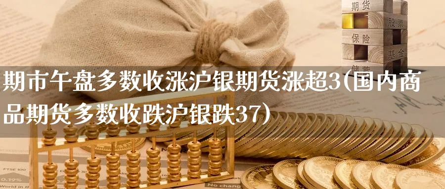 期市午盘多数收涨沪银期货涨超3(国内商品期货多数收跌沪银跌37) (https://www.haizilaw.com/) 国际期货 第1张