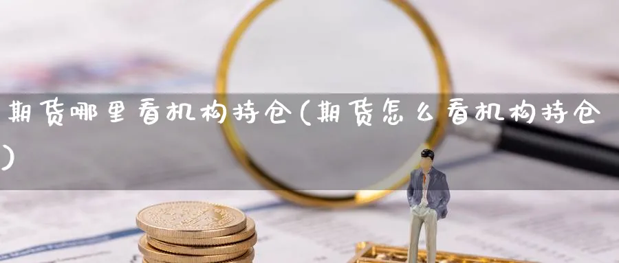 期货哪里看机构持仓(期货怎么看机构持仓) (https://www.haizilaw.com/) 国际期货 第1张