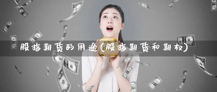 股指期货的用途(股指期货和期权) (https://www.haizilaw.com/) 纳指期货 第1张