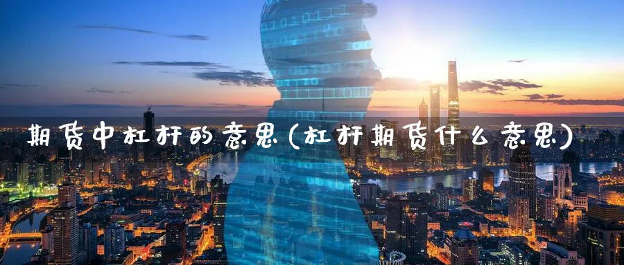 期货中杠杆的意思(杠杆期货什么意思) 化工期货 第1张-金融直播室 期货中杠杆的意思(杠杆期货什么意思) (https://www.haizilaw.com/) 化工期货 第1张