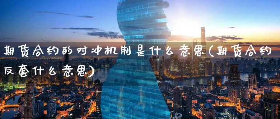 期货合约的对冲机制是什么意思(期货合约反套什么意思) (https://www.haizilaw.com/) 德指期货 第1张