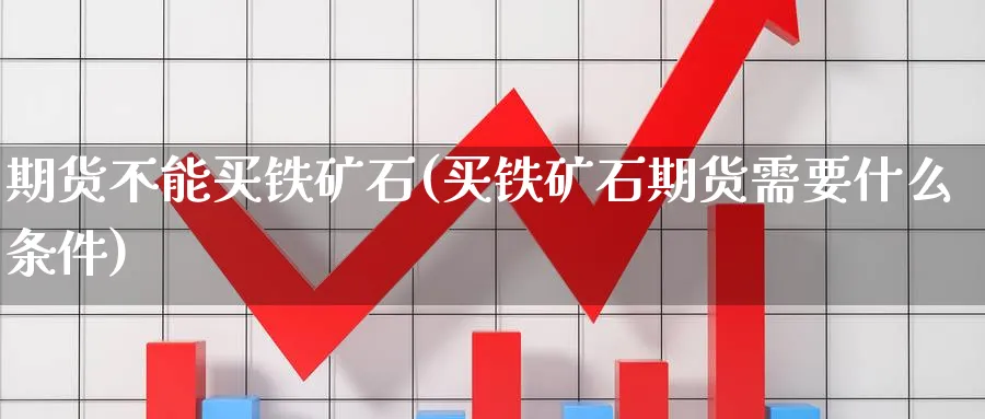 期货不能买铁矿石(买铁矿石期货需要什么条件) 道指期货 第1张-金融直播室 期货不能买铁矿石(买铁矿石期货需要什么条件) (https://www.haizilaw.com/) 道指期货 第1张