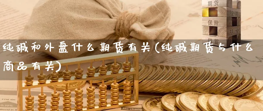 纯碱和外盘什么期货有关(纯碱期货与什么商品有关) 化工期货 第1张-金融直播室 纯碱和外盘什么期货有关(纯碱期货与什么商品有关) (https://www.haizilaw.com/) 化工期货 第1张