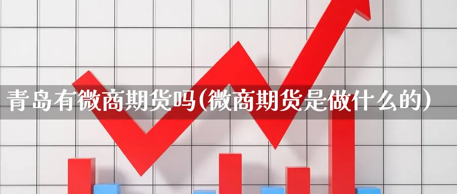 青岛有微商期货吗(微商期货是做什么的) 化工期货 第1张-金融直播室 青岛有微商期货吗(微商期货是做什么的) (https://www.haizilaw.com/) 化工期货 第1张