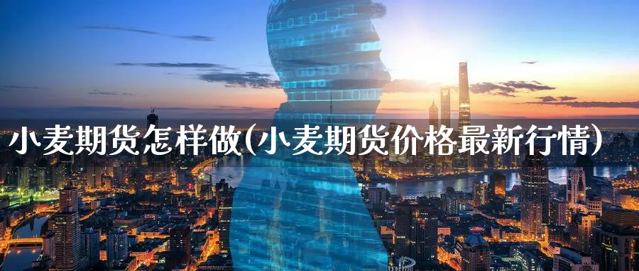 小麦期货怎样做(小麦期货价格最新行情) (https://www.haizilaw.com/) 德指期货 第1张