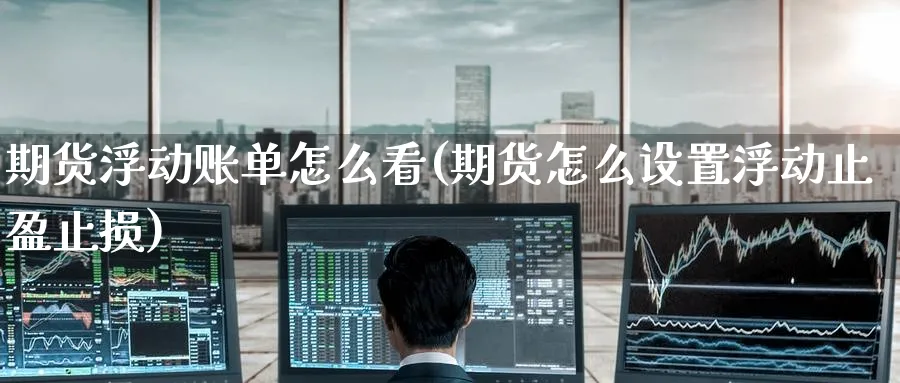 期货浮动账单怎么看(期货怎么设置浮动止盈止损) (https://www.haizilaw.com/) 农产品期货 第1张