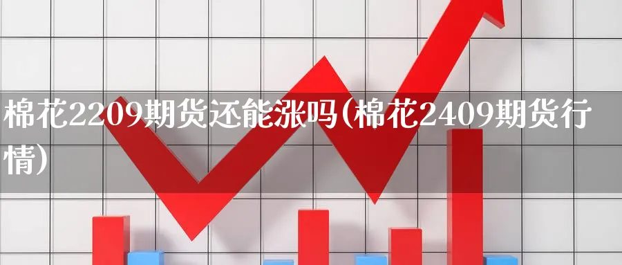 棉花2209期货还能涨吗(棉花2409期货行情) (https://www.haizilaw.com/) 国际期货 第1张
