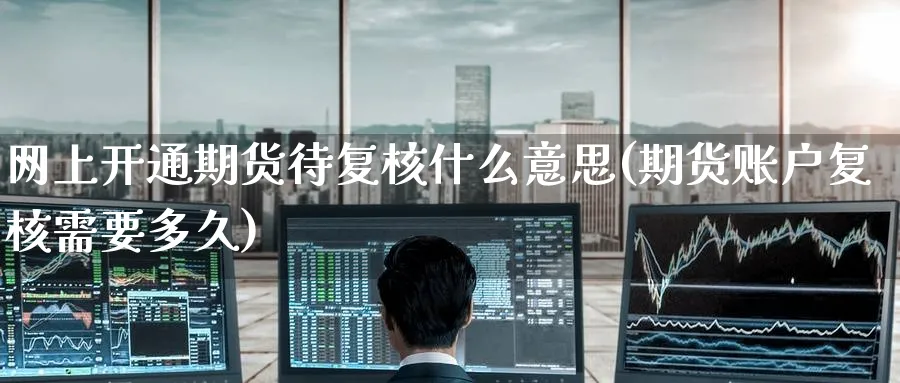 网上开通期货待复核什么意思(期货账户复核需要多久) (https://www.haizilaw.com/) 化工期货 第1张