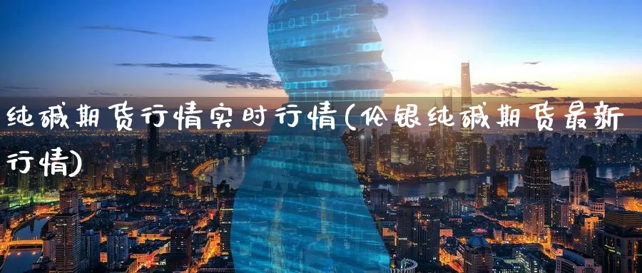 纯碱期货行情实时行情(伦银纯碱期货最新行情) 德指期货 第1张-金融直播室 纯碱期货行情实时行情(伦银纯碱期货最新行情) (https://www.haizilaw.com/) 德指期货 第1张