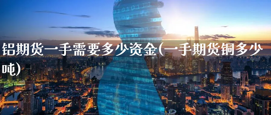 铝期货一手需要多少资金(一手期货铜多少吨) (https://www.haizilaw.com/) 黄金期货直播间 第1张