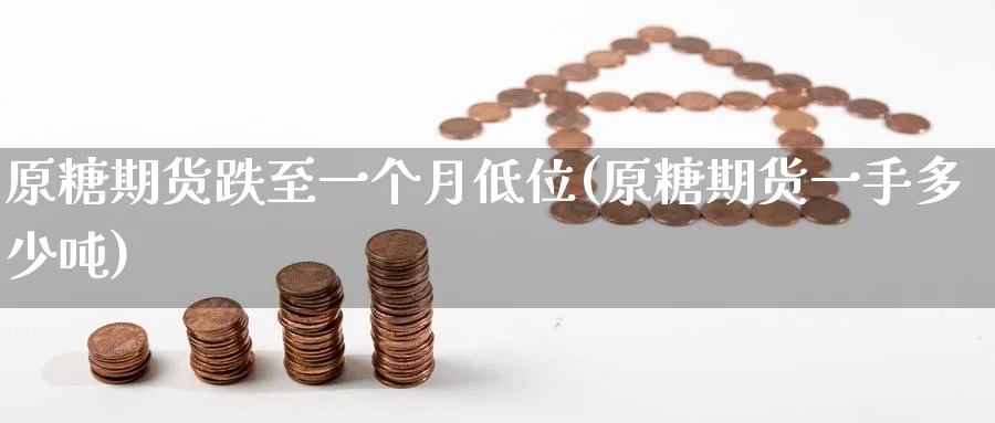 原糖期货跌至一个月低位(原糖期货一手多少吨) 道指期货 第1张-金融直播室 原糖期货跌至一个月低位(原糖期货一手多少吨) (https://www.haizilaw.com/) 道指期货 第1张