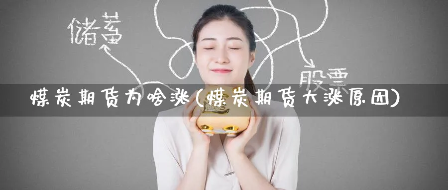 煤炭期货为啥涨(煤炭期货大涨原因) (https://www.haizilaw.com/) 农产品期货 第1张