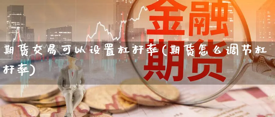 期货交易可以设置杠杆率(期货怎么调节杠杆率) (https://www.haizilaw.com/) 化工期货 第1张