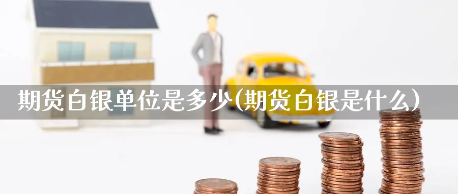 期货白银单位是多少(期货白银是什么) (https://www.haizilaw.com/) 化工期货 第1张