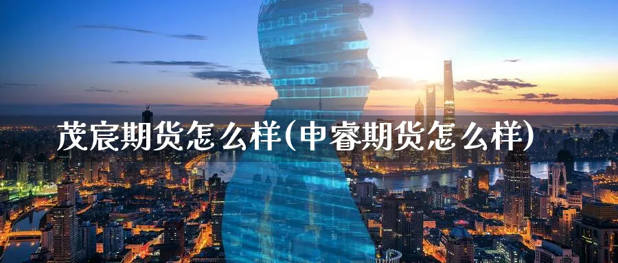 茂宸期货怎么样(申睿期货怎么样) (https://www.haizilaw.com/) 国际期货 第1张