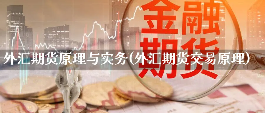 外汇期货原理与实务(外汇期货交易原理) (https://www.haizilaw.com/) 德指期货 第1张