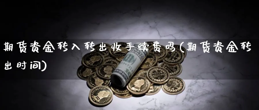 期货资金转入转出收手续费吗(期货资金转出时间) (https://www.haizilaw.com/) 期货百科 第1张