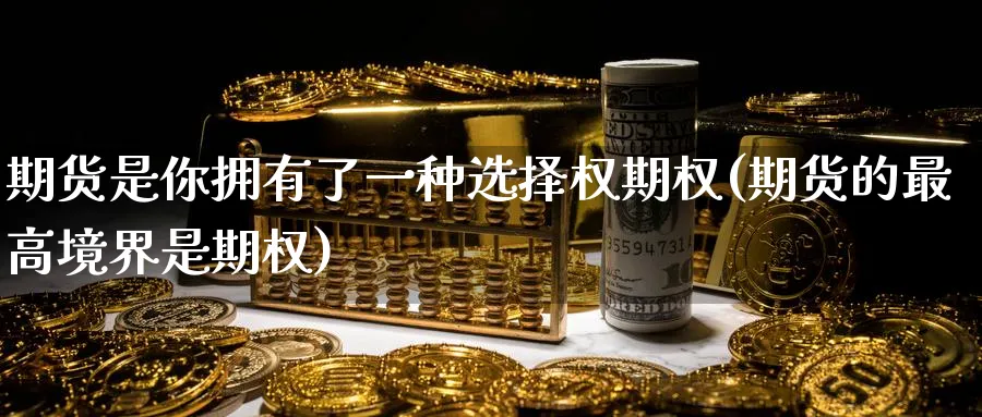 期货是你拥有了一种选择权期权(期货的最高境界是期权) (https://www.haizilaw.com/) 化工期货 第1张