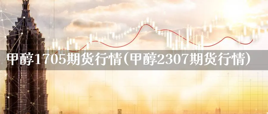 甲醇1705期货行情(甲醇2307期货行情) 恒指期货 第1张-金融直播室 甲醇1705期货行情(甲醇2307期货行情) (https://www.haizilaw.com/) 恒指期货 第1张