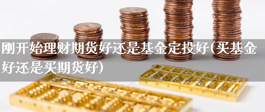刚开始理财期货好还是基金定投好(买基金好还是买期货好) (https://www.haizilaw.com/) 德指期货 第1张