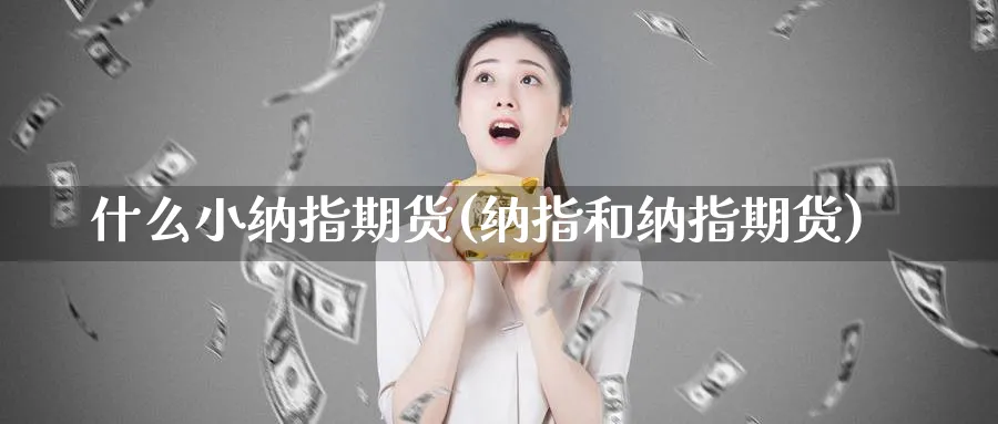什么小纳指期货(纳指和纳指期货) (https://www.haizilaw.com/) 黄金期货直播间 第1张