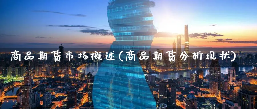商品期货市场概述(商品期货分析现状) 期货百科 第1张-金融直播室 商品期货市场概述(商品期货分析现状) (https://www.haizilaw.com/) 期货百科 第1张