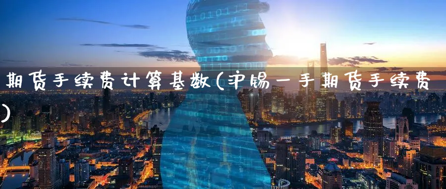 期货手续费计算基数(沪锡一手期货手续费) (https://www.haizilaw.com/) 期货百科 第1张