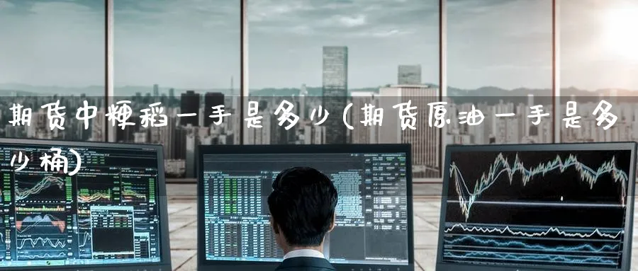 期货中粳稻一手是多少(期货原油一手是多少桶) (https://www.haizilaw.com/) 国际期货 第1张