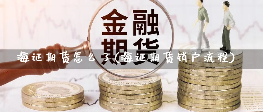 海证期货怎么了(海证期货销户流程) (https://www.haizilaw.com/) 德指期货 第1张