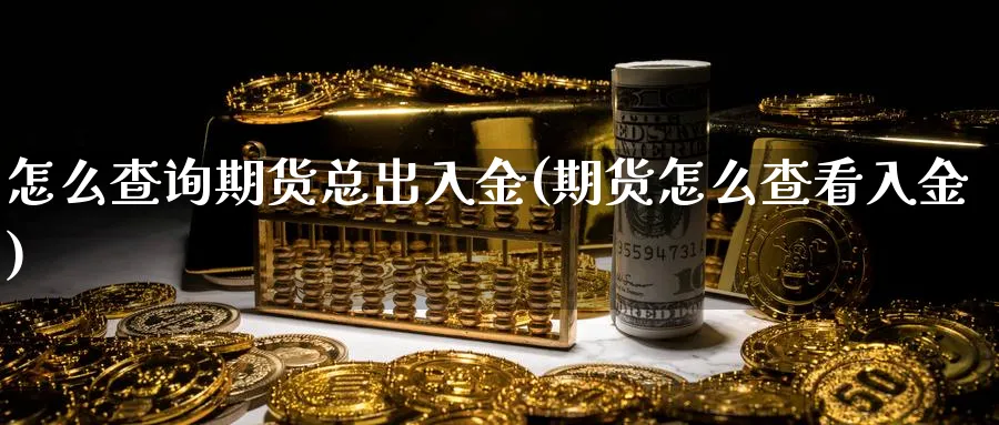 怎么查询期货总出入金(期货怎么查看入金) 恒指期货 第1张-金融直播室 怎么查询期货总出入金(期货怎么查看入金) (https://www.haizilaw.com/) 恒指期货 第1张