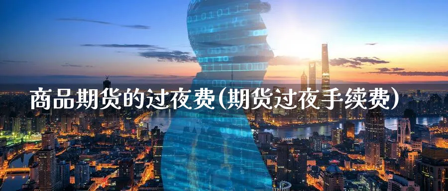 商品期货的过夜费(期货过夜手续费) (https://www.haizilaw.com/) 国际期货 第1张