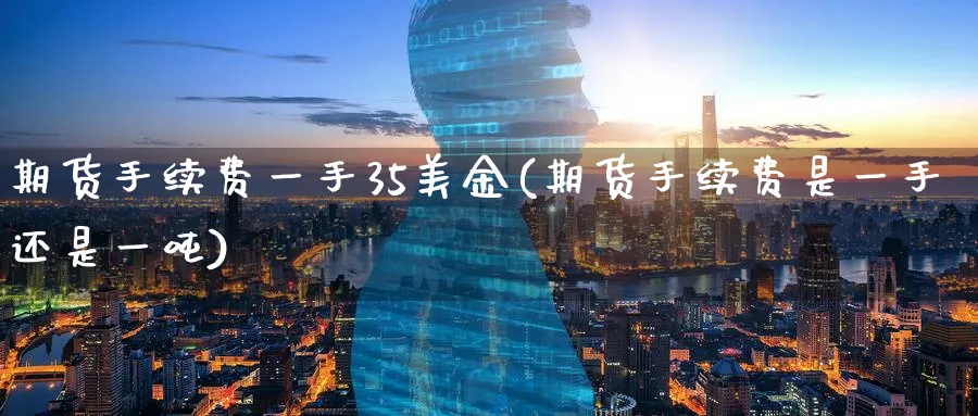 期货手续费一手35美金(期货手续费是一手还是一吨) (https://www.haizilaw.com/) 黄金期货直播间 第1张