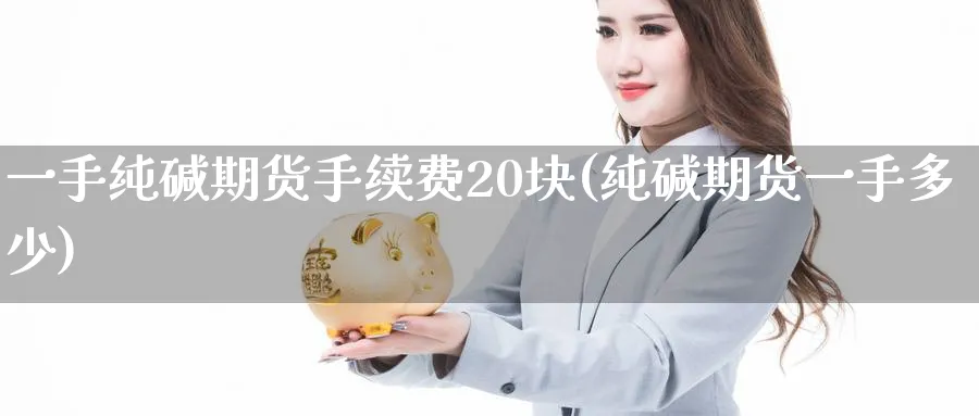 一手纯碱期货手续费20块(纯碱期货一手多少) (https://www.haizilaw.com/) 国际期货 第1张