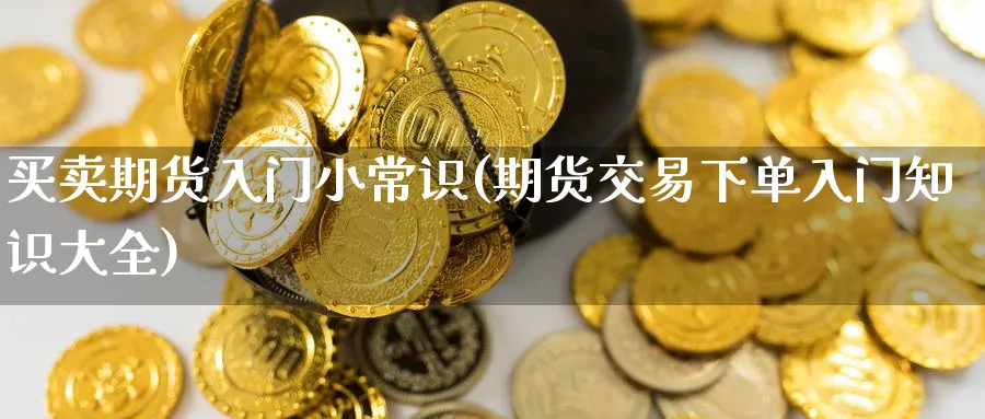 买卖期货入门小常识(期货交易下单入门知识大全) (https://www.haizilaw.com/) 期货百科 第1张