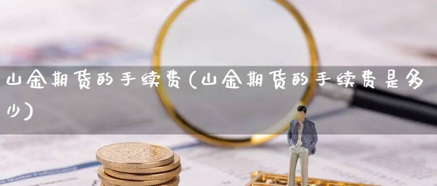 山金期货的手续费(山金期货的手续费是多少) (https://www.haizilaw.com/) 期货百科 第1张