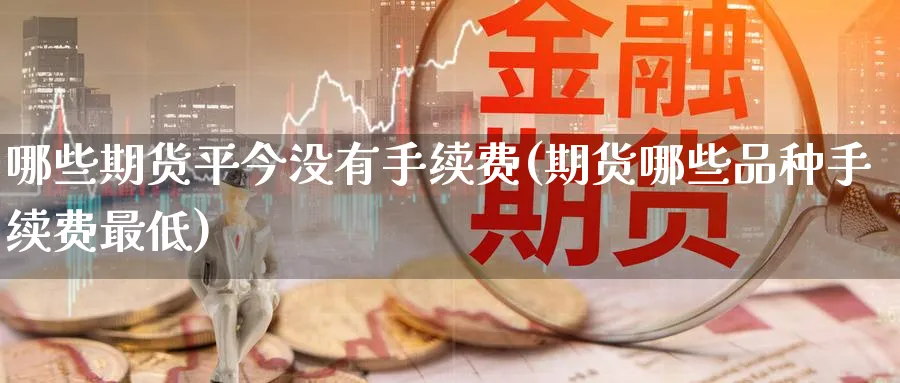 哪些期货平今没有手续费(期货哪些品种手续费最低) (https://www.haizilaw.com/) 恒指期货 第1张