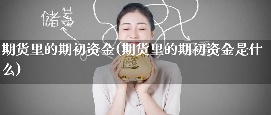 期货里的期初资金(期货里的期初资金是什么) (https://www.haizilaw.com/) 国际期货 第1张