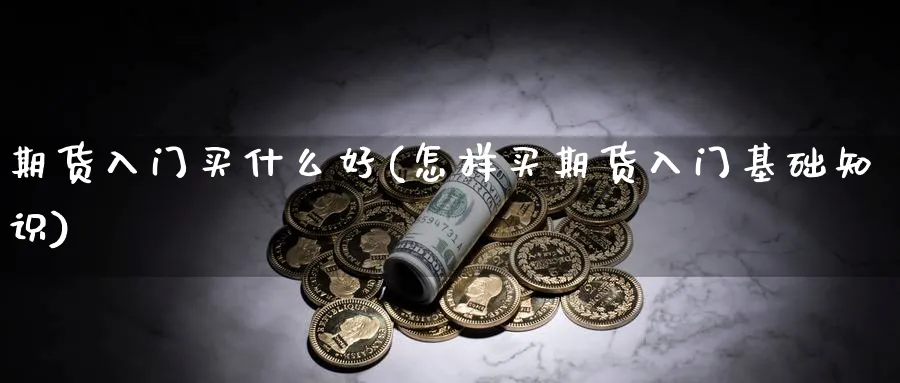 期货入门买什么好(怎样买期货入门基础知识) 农产品期货 第1张-金融直播室 期货入门买什么好(怎样买期货入门基础知识) (https://www.haizilaw.com/) 农产品期货 第1张