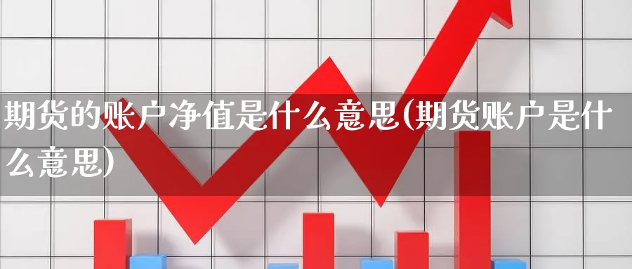 期货的账户净值是什么意思(期货账户是什么意思) 化工期货 第1张-金融直播室 期货的账户净值是什么意思(期货账户是什么意思) (https://www.haizilaw.com/) 化工期货 第1张