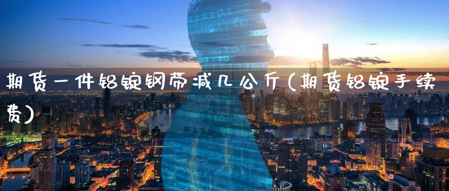 期货一件铝锭钢带减几公斤(期货铝锭手续费) (https://www.haizilaw.com/) 黄金期货直播间 第1张