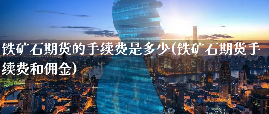 铁矿石期货的手续费是多少(铁矿石期货手续费和佣金) (https://www.haizilaw.com/) 原油期货直播间 第1张