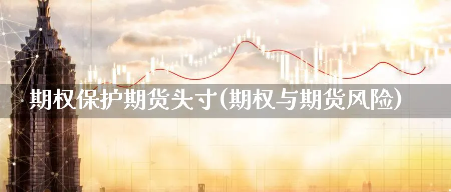 期权保护期货头寸(期权与期货风险) (https://www.haizilaw.com/) 原油期货直播间 第1张